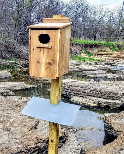 metal skirt below wood duck box|duck nesting box design.